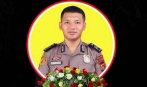Sumber istimewa